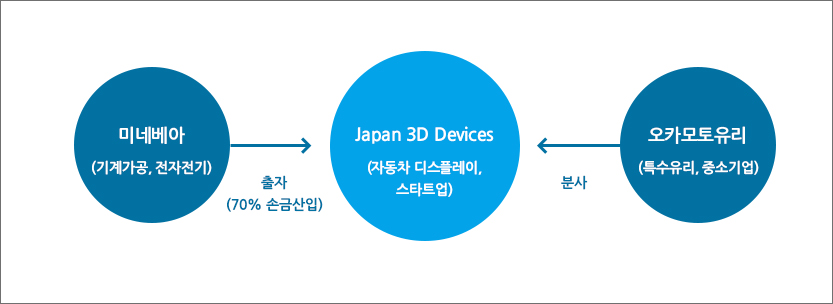 Japan 3D Devices 설립